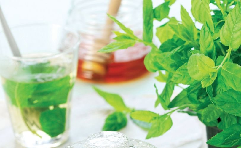 Mint Tea Recipe: Veggie