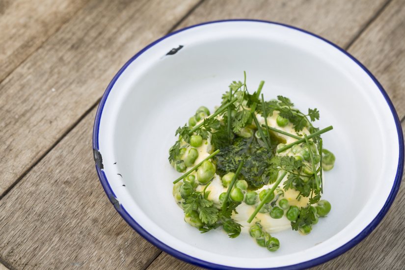 Tom Aikens’ Organic Peas and Broad Beans with Ricotta and Gremolata Recipe: Veggie
