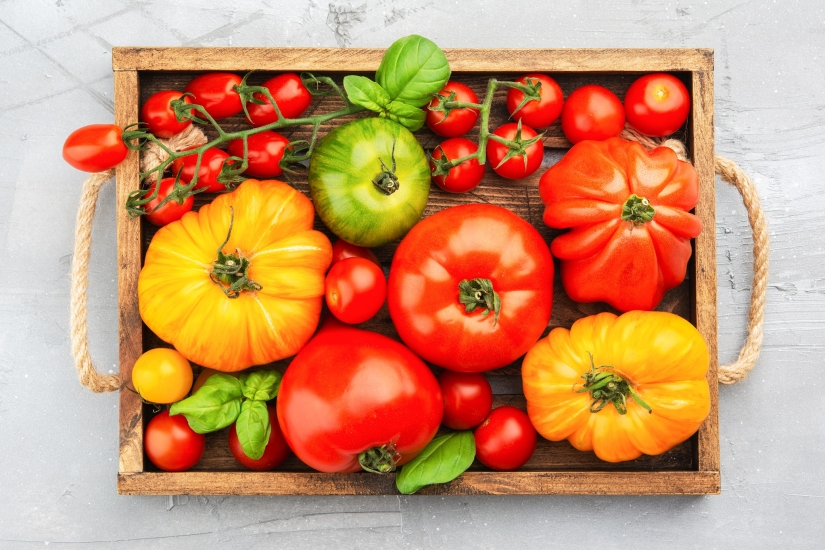 Everything you need to know about British tomatoes