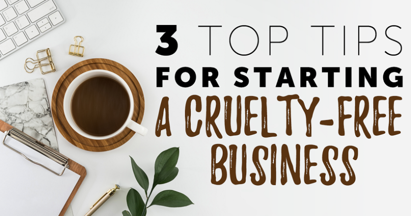 3 Top Tips For Starting A Cruelty-Free Business