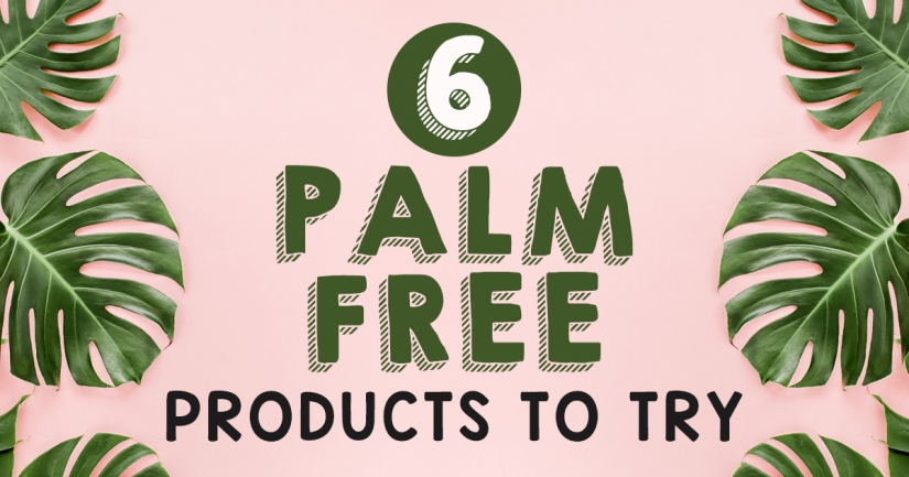 6 Palm-Free Products To Try