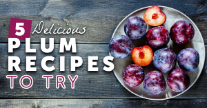 5 Delicious Plum Recipes To Try