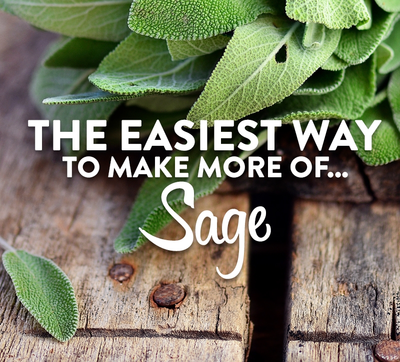 The easiest way to make more of sage