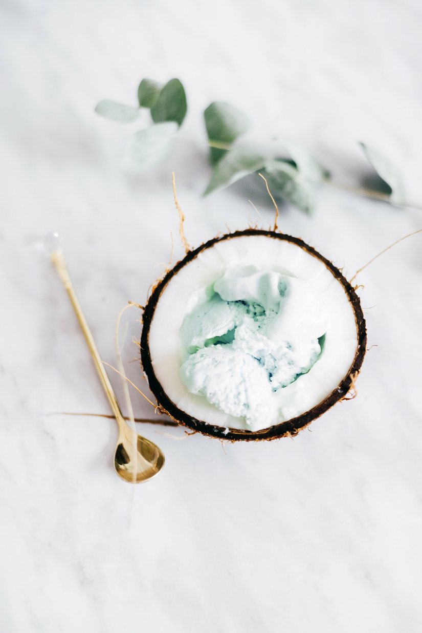 Selasi’s Coconut Ice Cream Recipe: Veggie